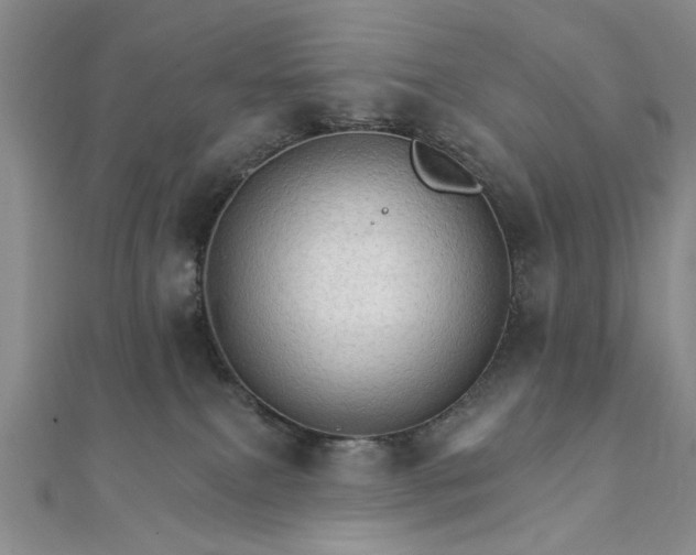 X0000111910087200908031147