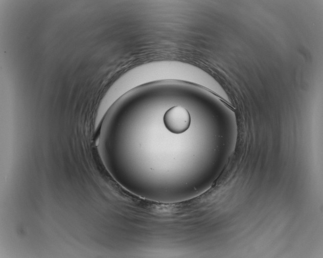 X0000111910088200908031147