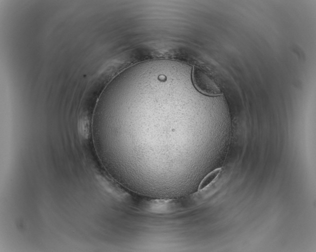 X0000111910090200908031147