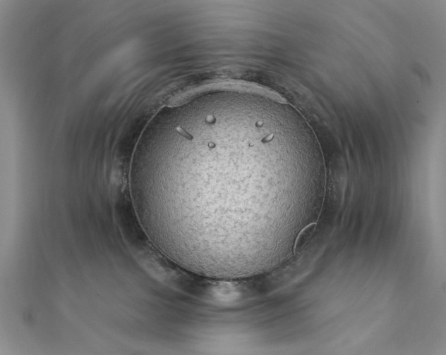 X0000111910091200908031147