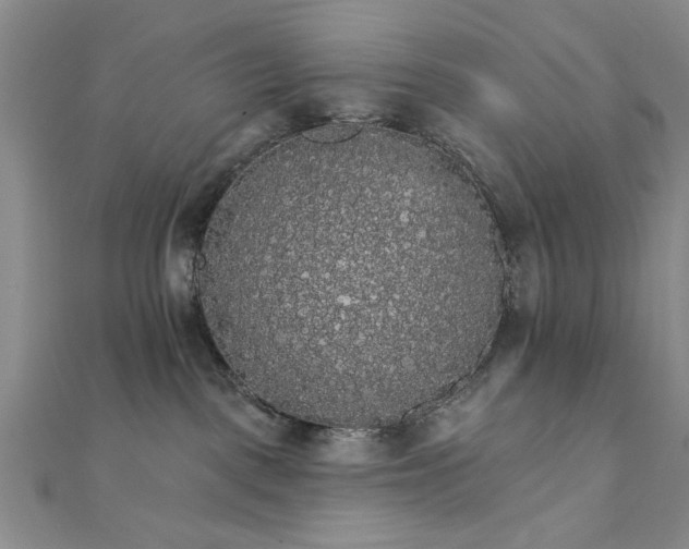 X0000111910093200908031147