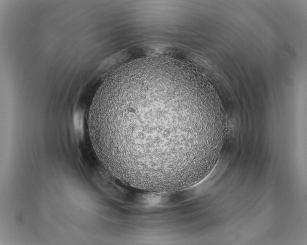 X0000111910094200908031147