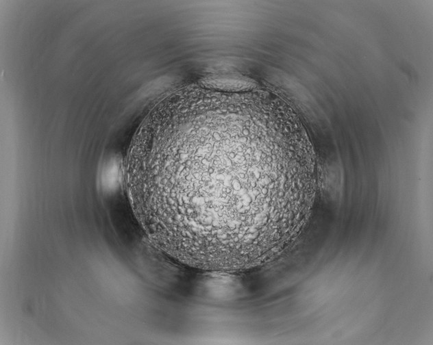 X0000111910095200908031147