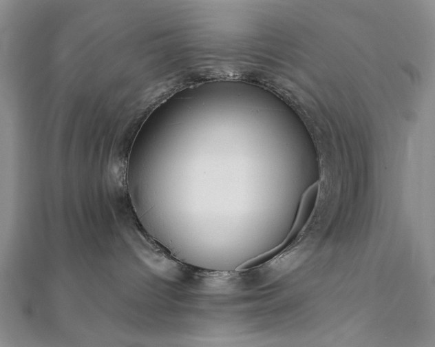 X0000111910096200908031147