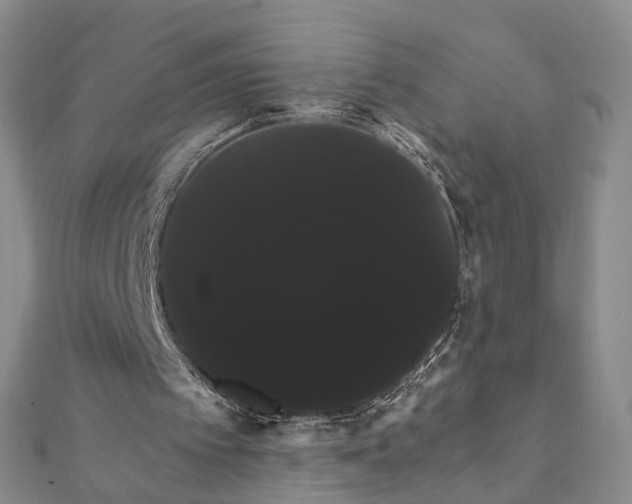 X0000111910097200908031146