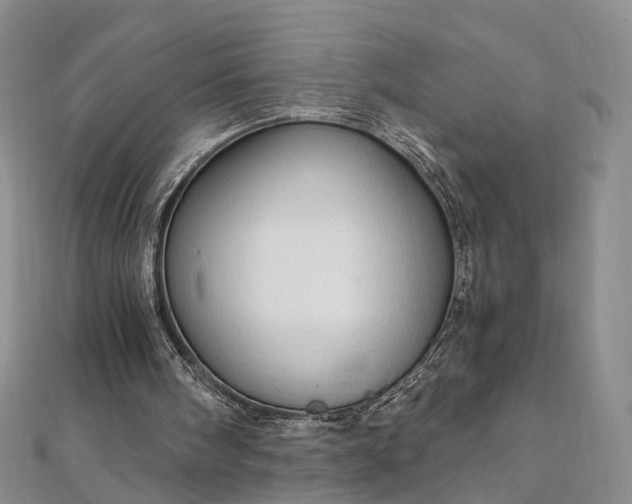 X0000111910098200908031146