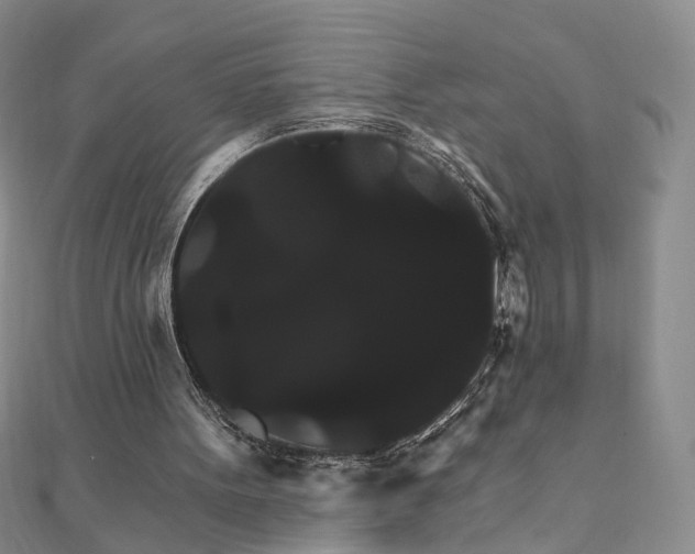 X0000111910099200908031146