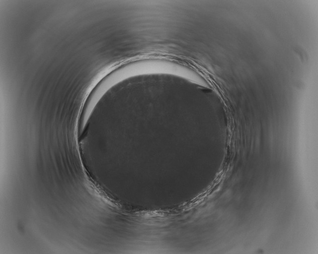 X0000111910100200908031146