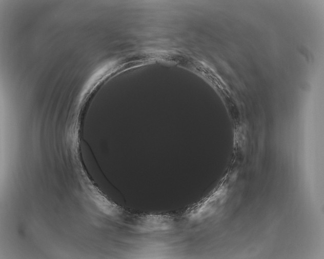 X0000111910101200908031146