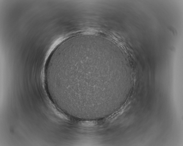 X0000111910102200908031146