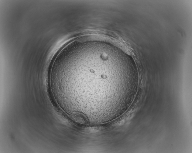 X0000111910103200908031146