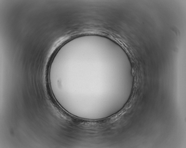 X0000111910104200908031146