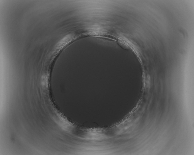 X0000111910105200908031146