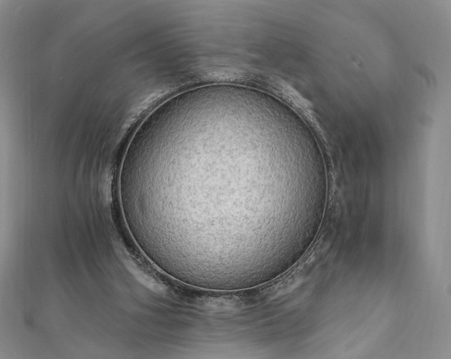 X0000111910106200908031146