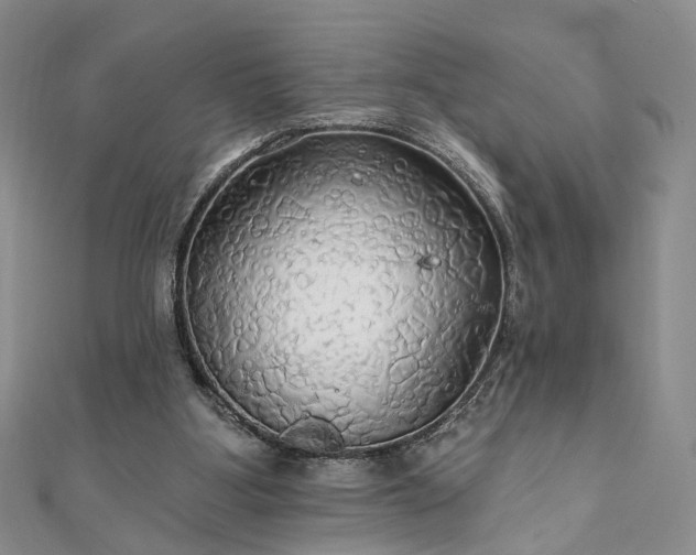 X0000111910107200908031146