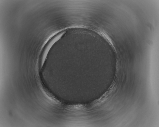 X0000111910108200908031146