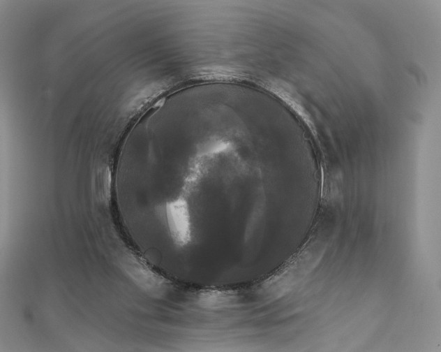 X0000111910109200908031146