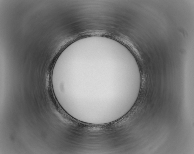 X0000111910110200908031146