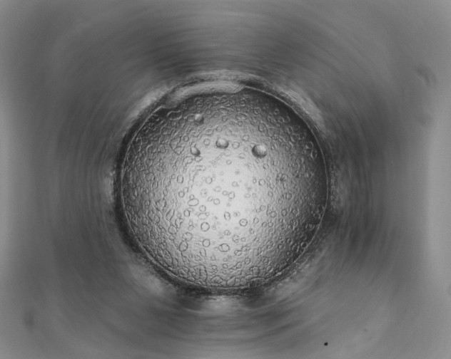 X0000111910111200908031146