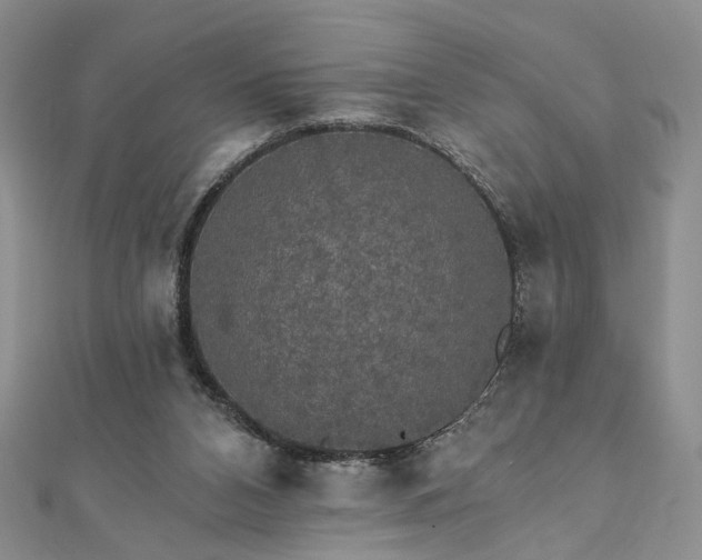 X0000111910112200908031146