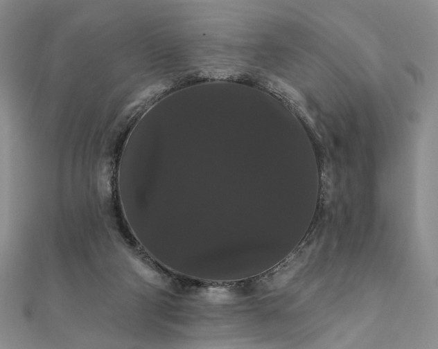 X0000111910114200908031146