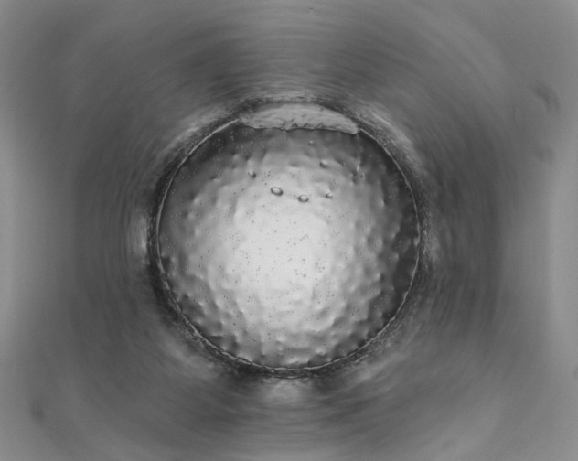 X0000111910115200908031146