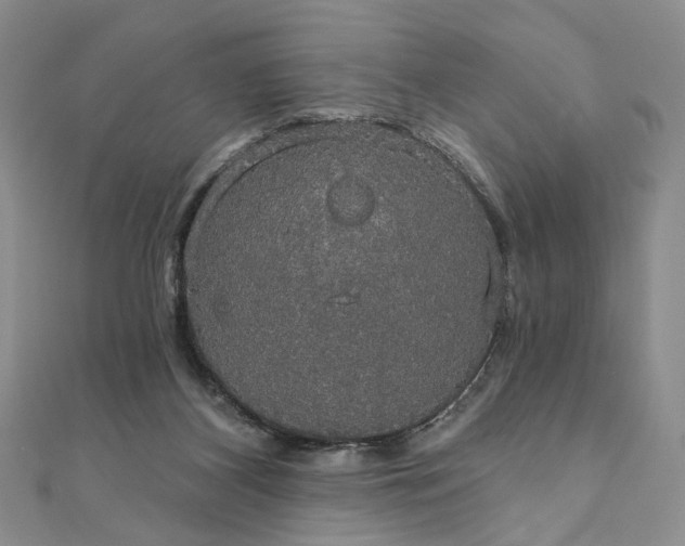 X0000111910116200908031146