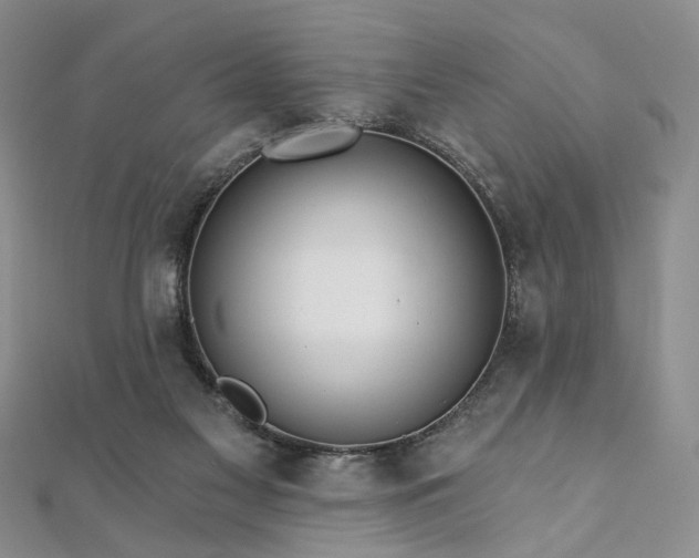 X0000111910117200908031146