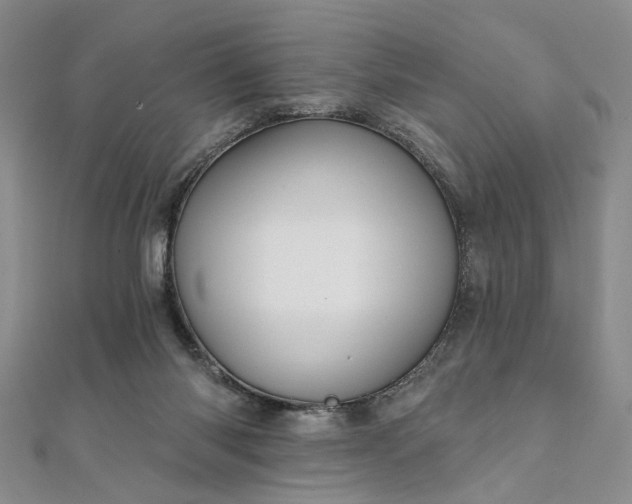 X0000111910118200908031146