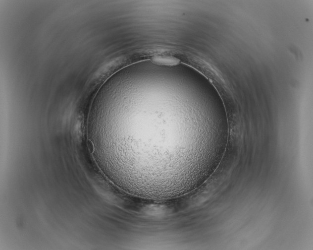 X0000111910119200908031146