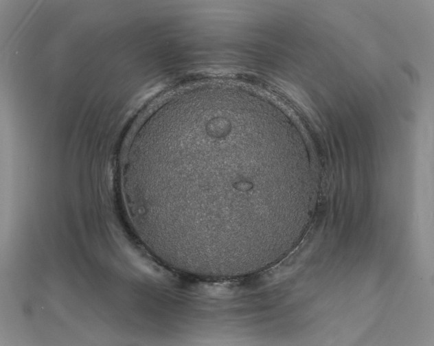 X0000111910120200908031146