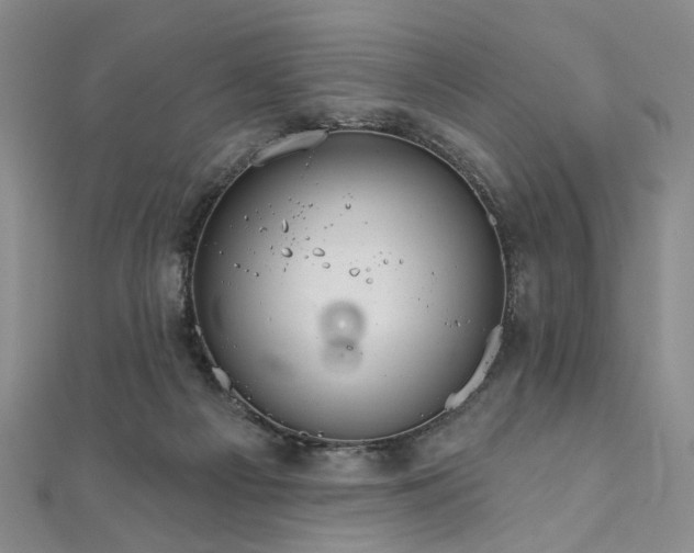 X0000111910121200908031146