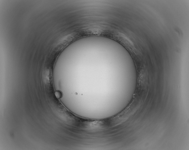 X0000111910122200908031146