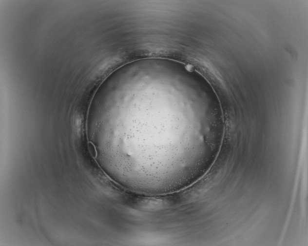 X0000111910123200908031146