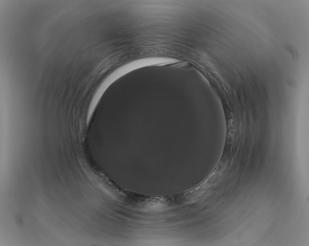 X0000111910124200908031146