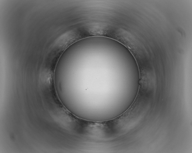 X0000111910125200908031146