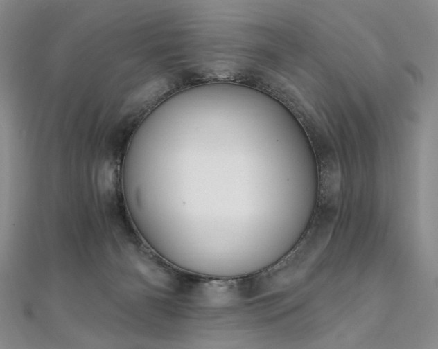 X0000111910126200908031146