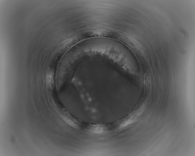 X0000111910127200908031146