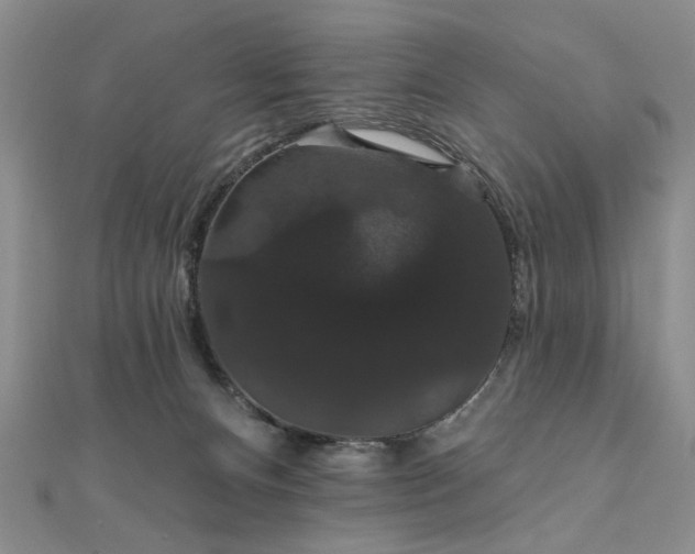 X0000111910128200908031146