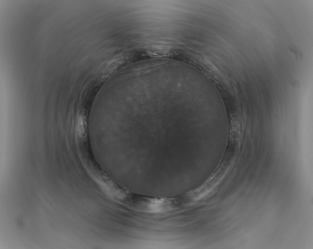 X0000111910130200908031146