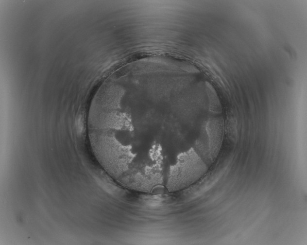 X0000111910131200908031146