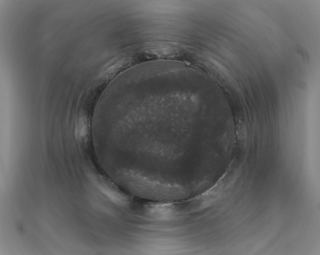 X0000111910132200908031146