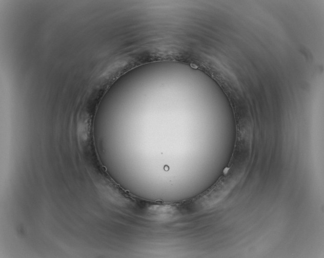 X0000111910133200908031146