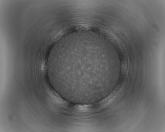 X0000111910134200908031146