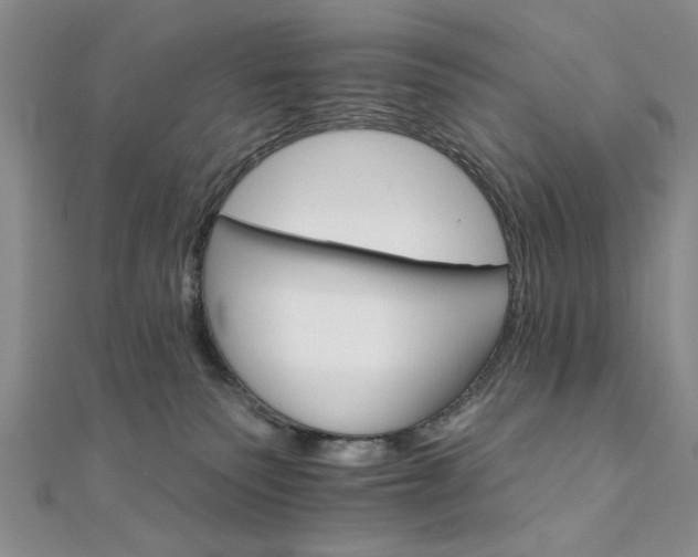 X0000111910135200908031146