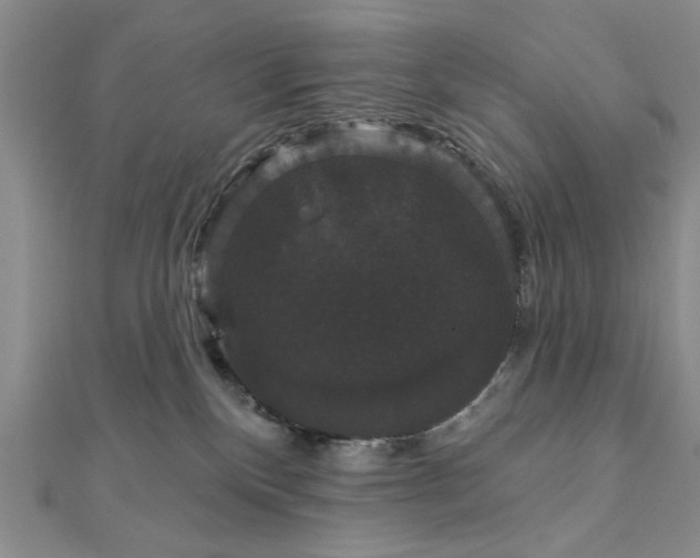 X0000111910136200908031145