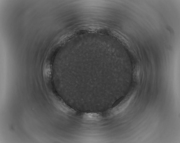 X0000111910137200908031145