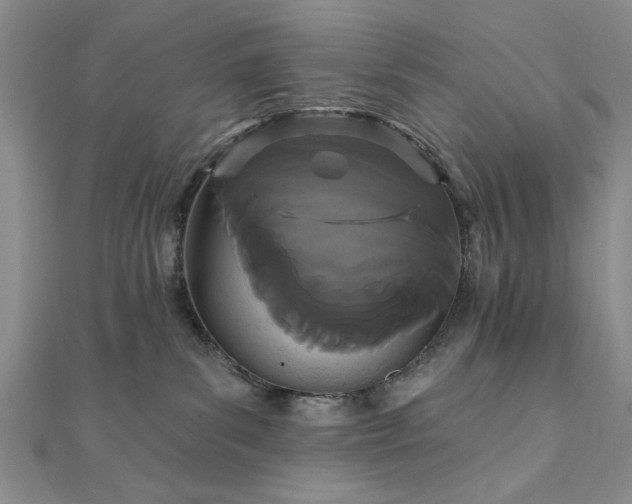 X0000111910139200908031145