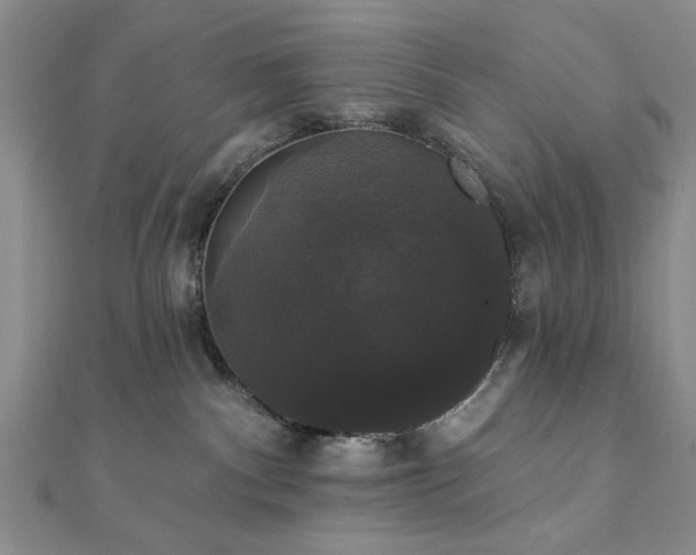 X0000111910140200908031145