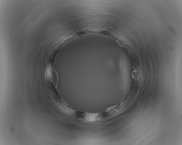 X0000111910143200908031145